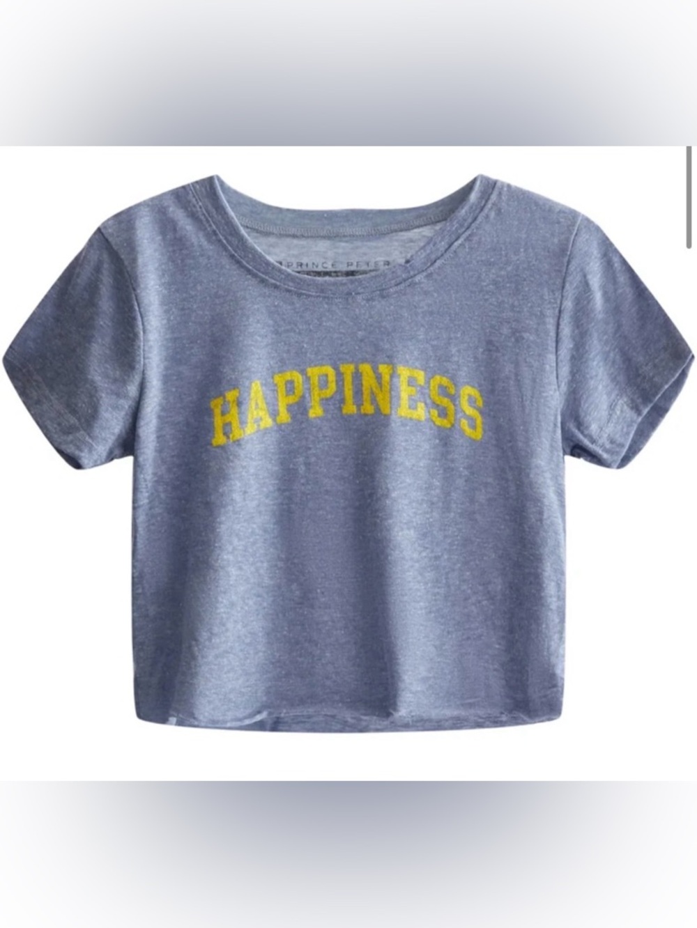 Prince Peter Collection "Happiness" Short Sleeve Tee - Heathered Blue